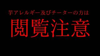 【Bo2】久しぶり！コメントが多かったコンバーターいますか？について