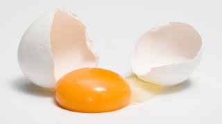 【LOST EGG 2】視聴者参加型不破湊の" 相棒 "決定戦【不破湊/にじさんじ 】