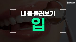 <b>입</b> 미리보기 썸네일