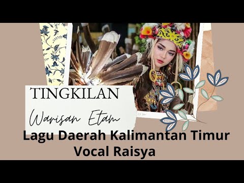 TINGKILAN [WARISAN ETAM] LAGU DAERAH KALIMANTAN TIMUR |Vocal By Raisya #lagudaerah #kalimantantimur