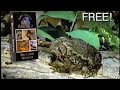 WILD AMERICA Fantastic Follies VHS Infomercial