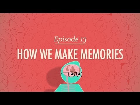 Part of a video titled How We Make Memories: Crash Course Psychology #13 - YouTube