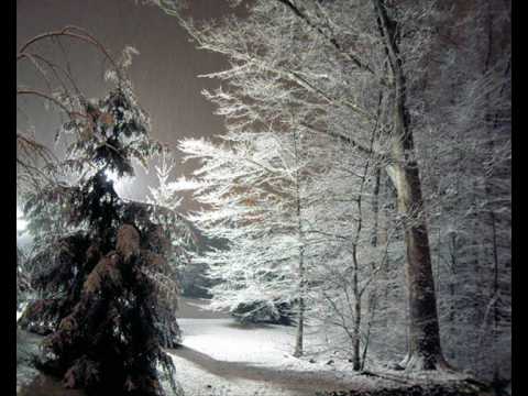 Beata Rybotycka - Całą noc padał śnieg