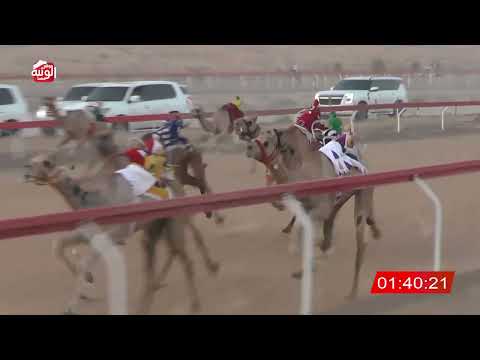  ش 3 (مرزامه) لـ راشد بن نافع الوهيبي 3:13 ، شارة الصندوق 2026/08/28 فطامين الجبيب