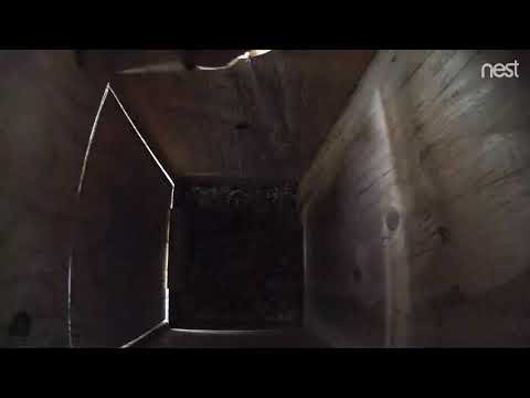 male Kestrel enters box with vole