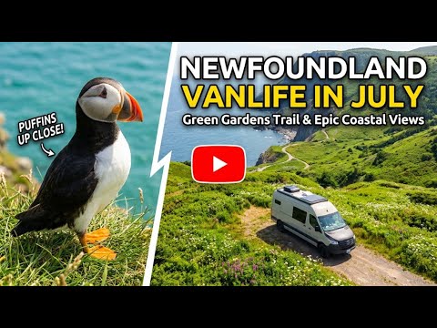 We Tested Our New Van in Newfoundland and This Happened