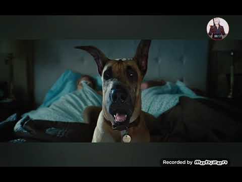 Marmaduke (2010)- Marmaduke farts in his owner's bed ending scene 