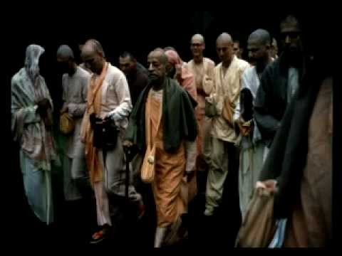 Very Expert in Misinterpreting (Morning Walk)