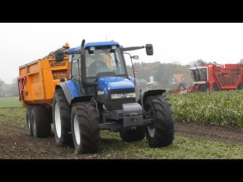 JWD Markvoort suger beet harvest