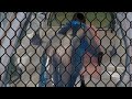 Heeriye Official Video Jasleen Royal Ft Arijit Singh Dulquer Salmaan Aditya Sharma Tanni Tanvir