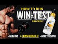 HOW TO RUN WIN TEST FROM VINTAGE MUSCLE - REVIEW