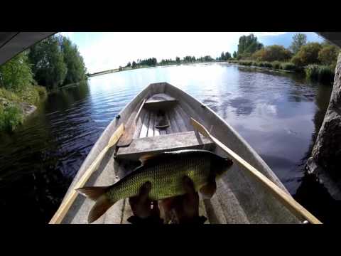 Pottu kalastaa vol 16- jigausta uudella setillä