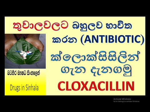 Cloxacillin in sinhala  | ක්ලොක්සිසිලින් ගැන දැනගමු