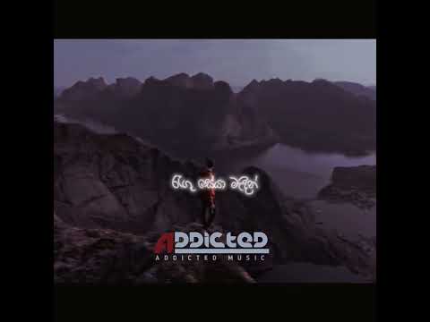 Jeewithe Charika(ජීවිතේ චාරිකා) |සිත මීදුම් වැදී | Dr.Pradeep Rangana | 🔴Sinhala Song with lyrics...