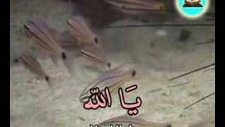 Download lagu Zikir 20 Sifatullah (Sifat Allah) mp3