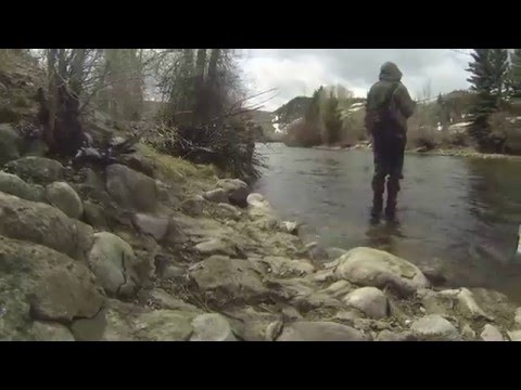 Fly Fishing Colorado Blue River Silverthorne 2015