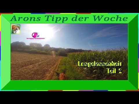 Arons Tipp der Woche zum Thema Losgelassenheit Teil2 – vom mobilen Pferdeflüsterer