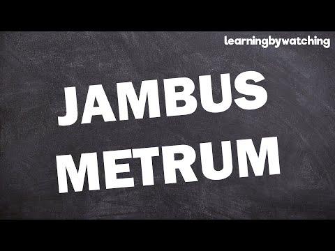 Jambus Metrum einfach erklärt!