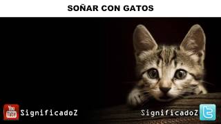 Significado de Soñar con Gatos ✔ ¿Que Significa? 🐱