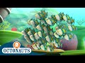 Octonauts Humuhumus The Electric Torpedo Rays Cartoons For Kids Underwater Sea Education