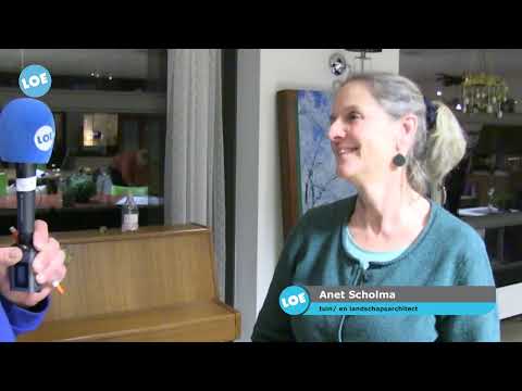 Info-avond 'Winkelplein' 't Harde