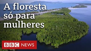 Miniatura do vídeo