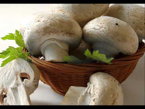 download lagu mp3 mp4 Eatingwell101, download lagu Eatingwell101 gratis, unduh video klip Eatingwell101