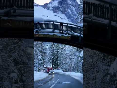 #instadaily #instapic #landscape #wildlife #beautiful...Created by Inflact Hashtags Generator