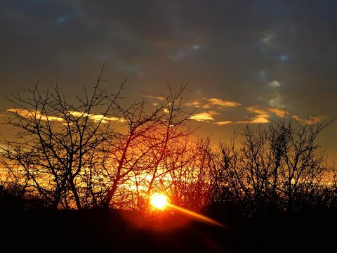 Božićno 'dumanje',klimatski kaos, orke,Ukrajina,Trump,Putin,Izrael,Iran