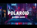 Alisson Shore - Polaroid (Lyrics) | Lyric Zone