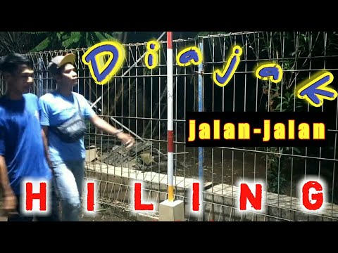 diajak-jalan-jalan