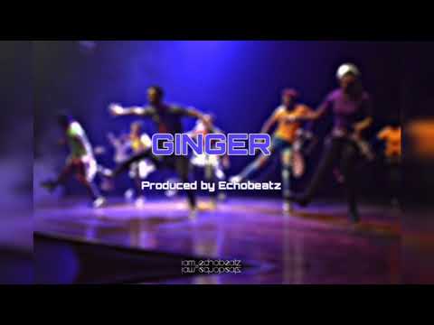 [FREEBEAT] GINGER - Produced by Echobeatz