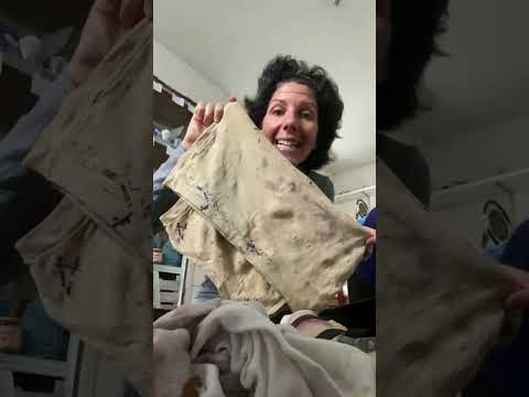 Pantharhei donate video