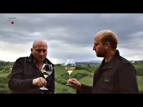 Jakončič Carolina Rebula