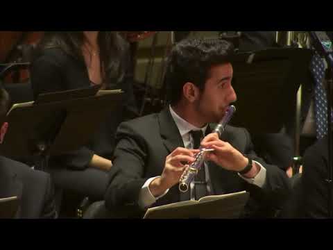 Orchestral Excerpt: Le Sacre du printemps, alto flute solo