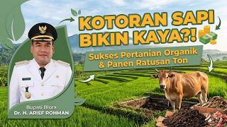 Download lagu Learning Organic Farming from Blora Regent Arief Rohman: From Cow Waste to Food Self-Sufficiency mp3