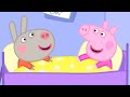 Delphine Donkey Comes To Visit Peppa Pig Official Full Episodes