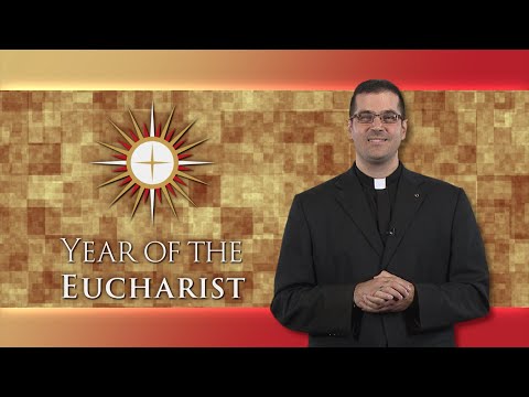 Witness Wednesdays - Fr. David Aufiero