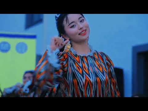 Institut haqida video
