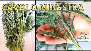 CAVOLO CHE STRANO! cavolo minestra come cuocerlo in padella senza lessare RICETTE DI GABRI