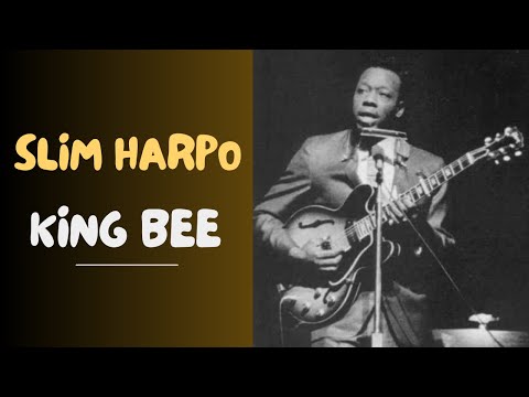 SLIM HARPO King Bee BLUES GUITAR LESSON