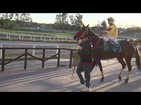 HIPODROMO LAS PIEDRAS  30/09/23 - URUGUAY