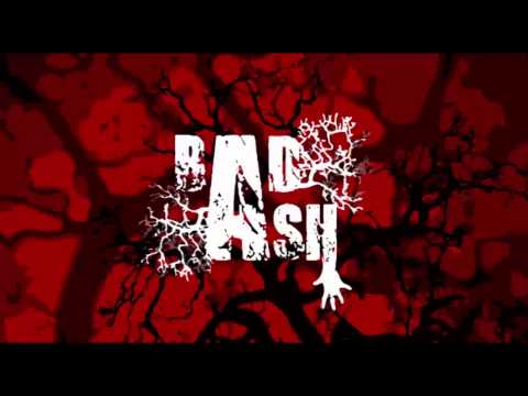 Badash - You Didn't See It So You Don't Have To Dream