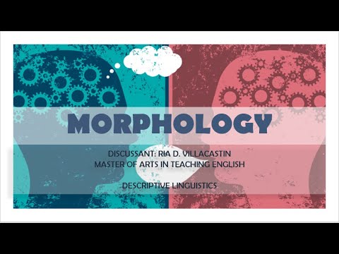 MORPHOLOGY - DESCRIPTIVE LINGUISTICS