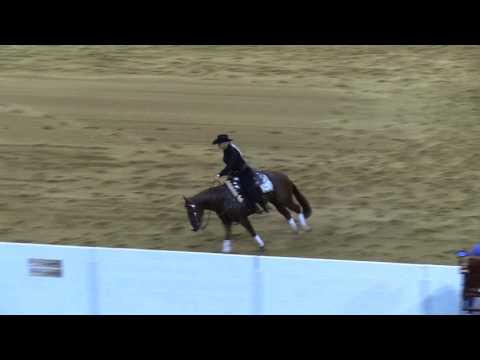 Draw 30 Back 8410 Gunnersspecialsister Kelle L Smith