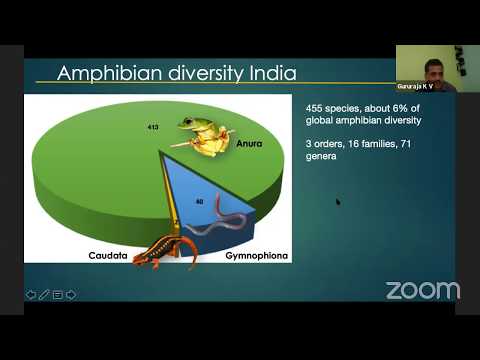 Gururaja on Frogs in 'tangled bank'