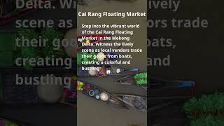 Vietnam's Top Places: Unveiling the Gems of the World #22 - Cai Rang Floating market