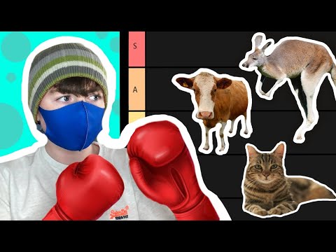 Ranking animals I could beat in a fight