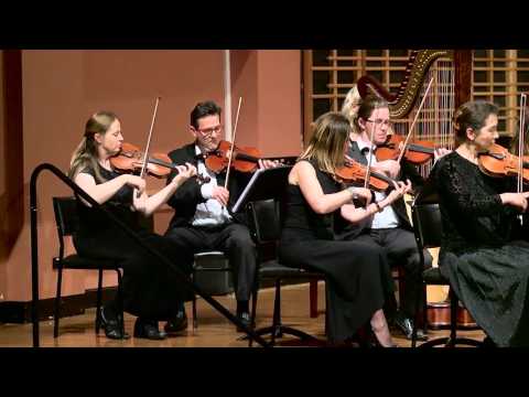 Swan Lake   Danses des Cygnes