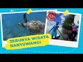 Tempat Wisata Di Banyuwangi Yang Patut Kamu Kunjungi JALAN JALAN